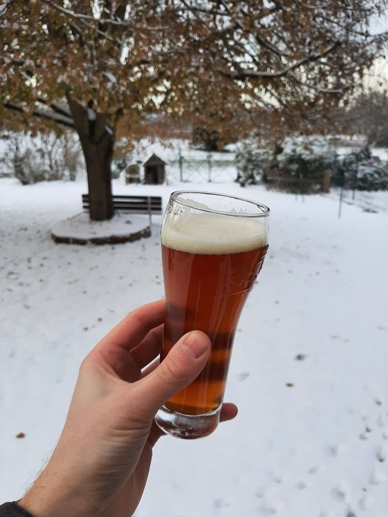 Glass of IPA with backdrop
